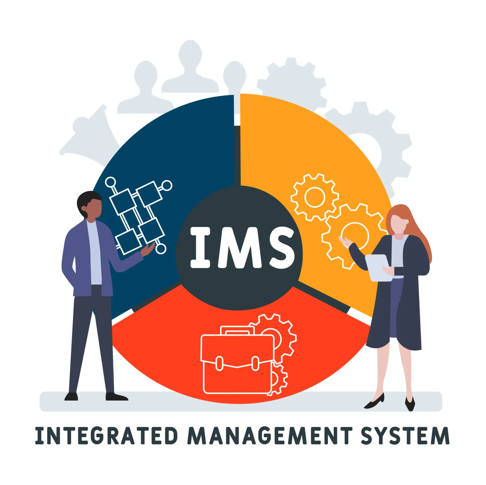 What Is An Integrated Management System ISOQAR